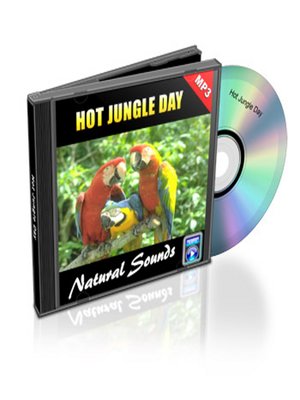 cover image of Hot Jungle Day--Relaxation Music and Sounds